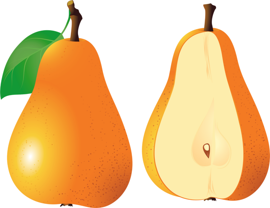 Illustration Pear Png