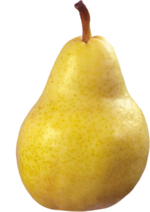 pear-3