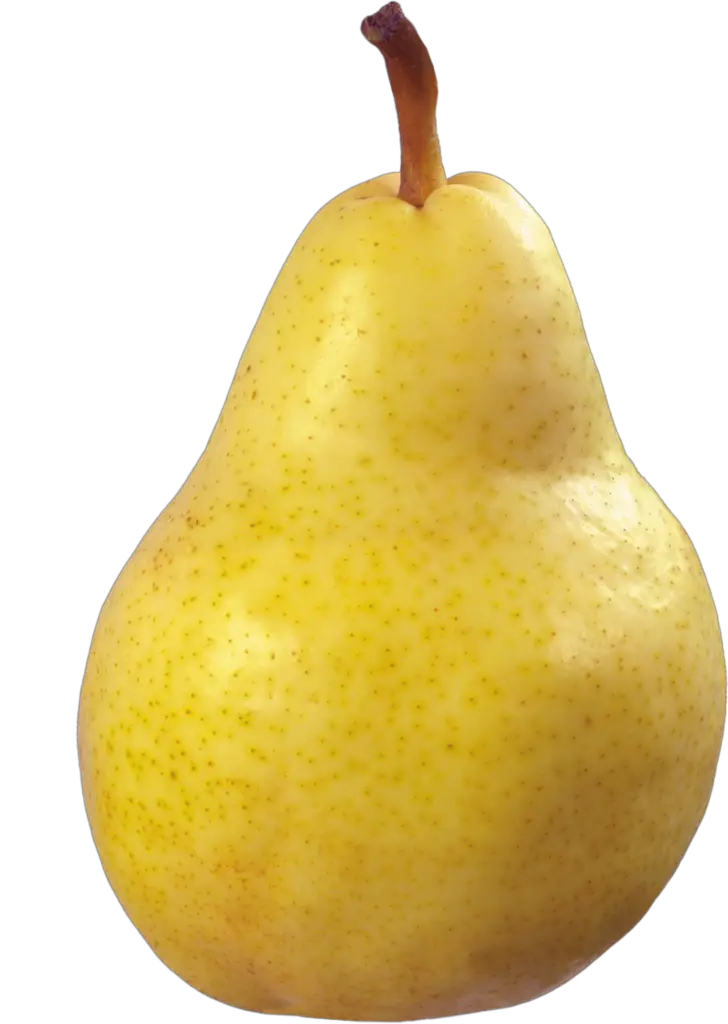 high resolution Pear Png