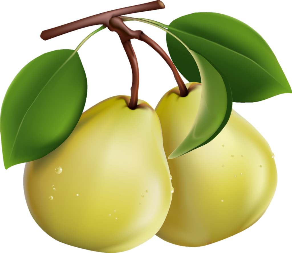 clipart Pear Png