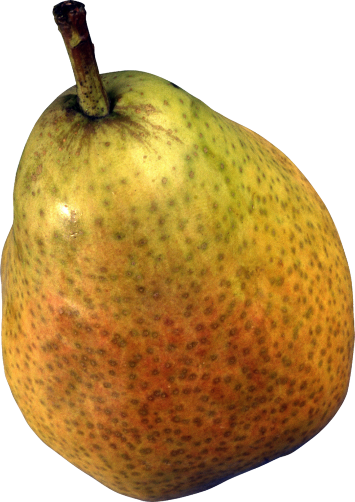 Transparent Background Pear Png