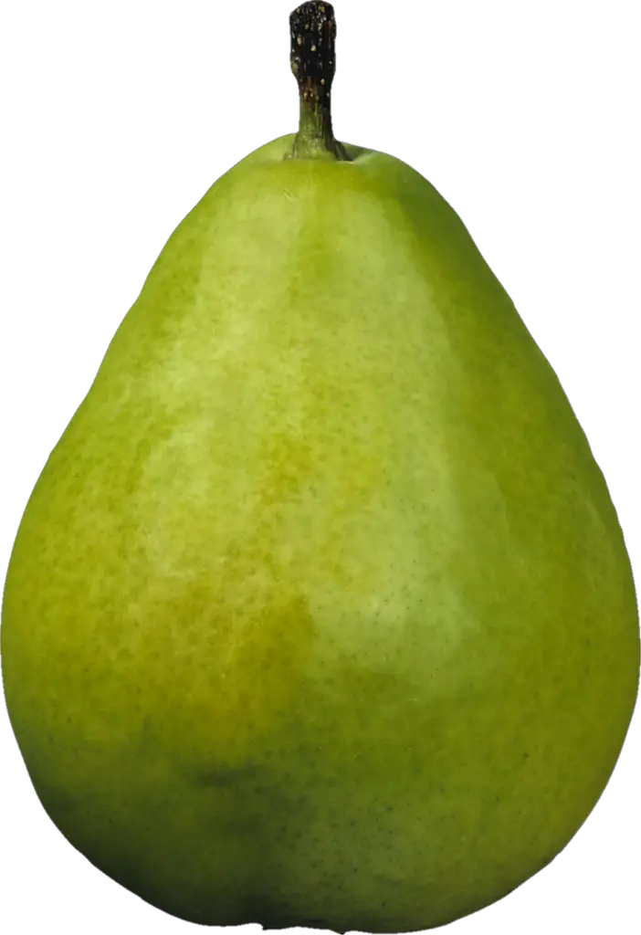 Green Pear Png