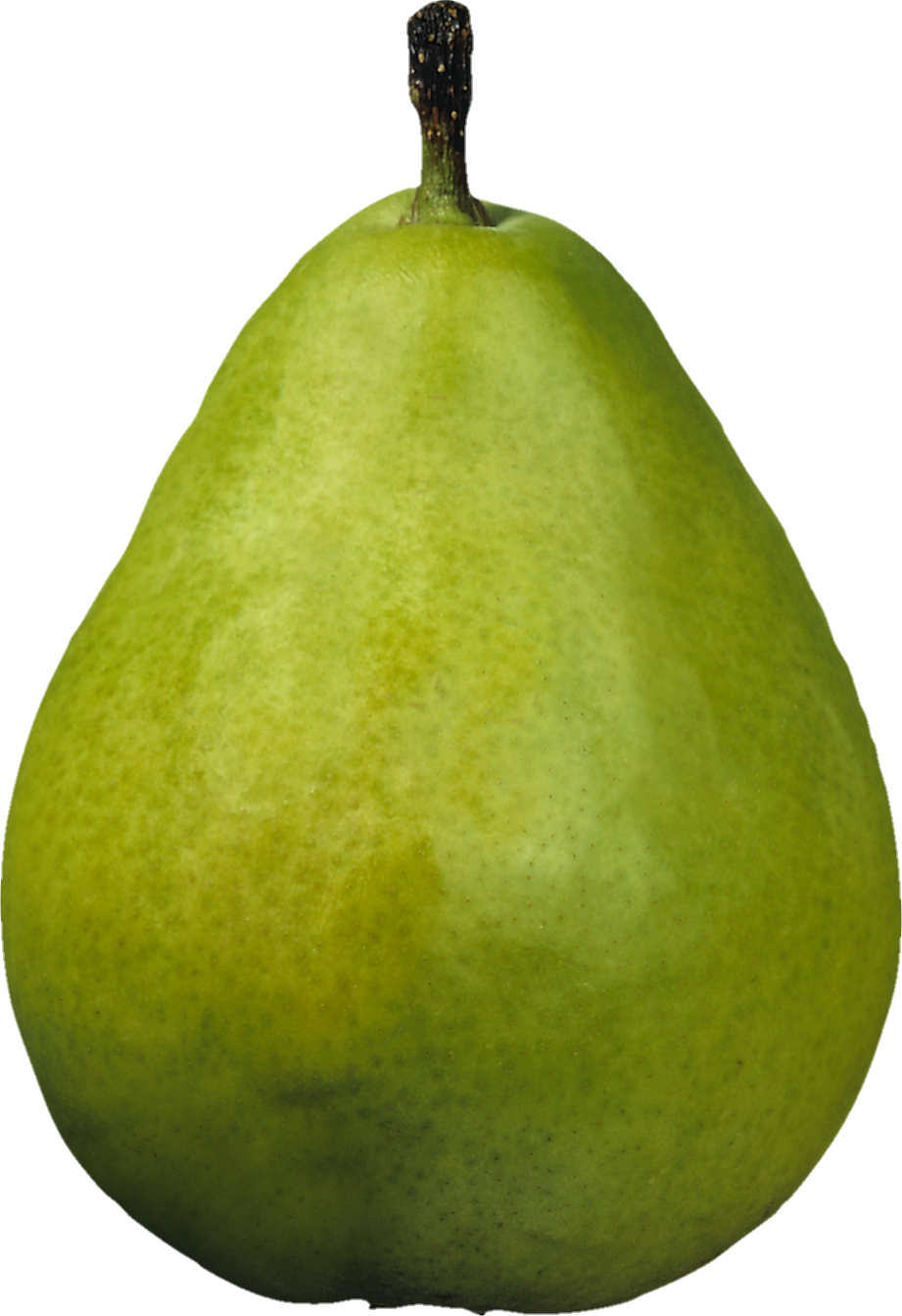 pear-8-1