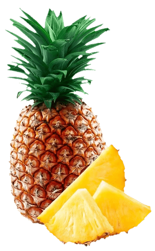 pineapple-10