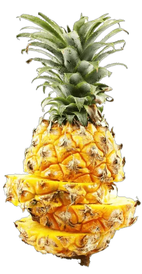 pineapple-11