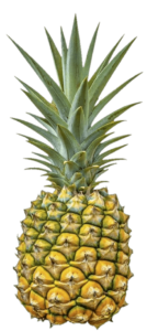 Green Pineapple PNG Image