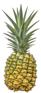 Green Pineapple PNG Image