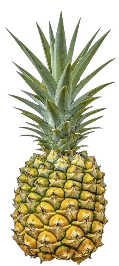 pineapple-12