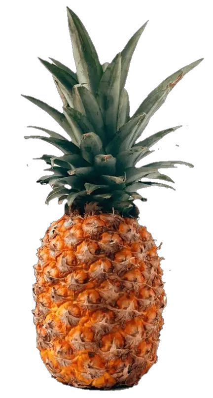 pineapple-14