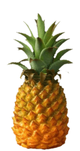 Pineapple PNG Image, Free Download 
