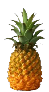 Pineapple PNG Image, Free Download 