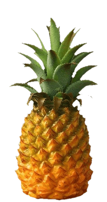 pineapple-15