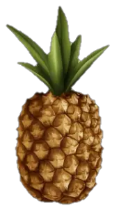 Pineapple PNG Image, Free Download 