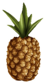 pineapple-16