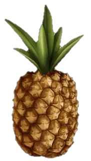 pineapple-16