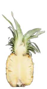 Cut Pineapple PNG Image