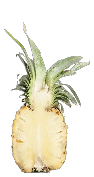 pineapple-18