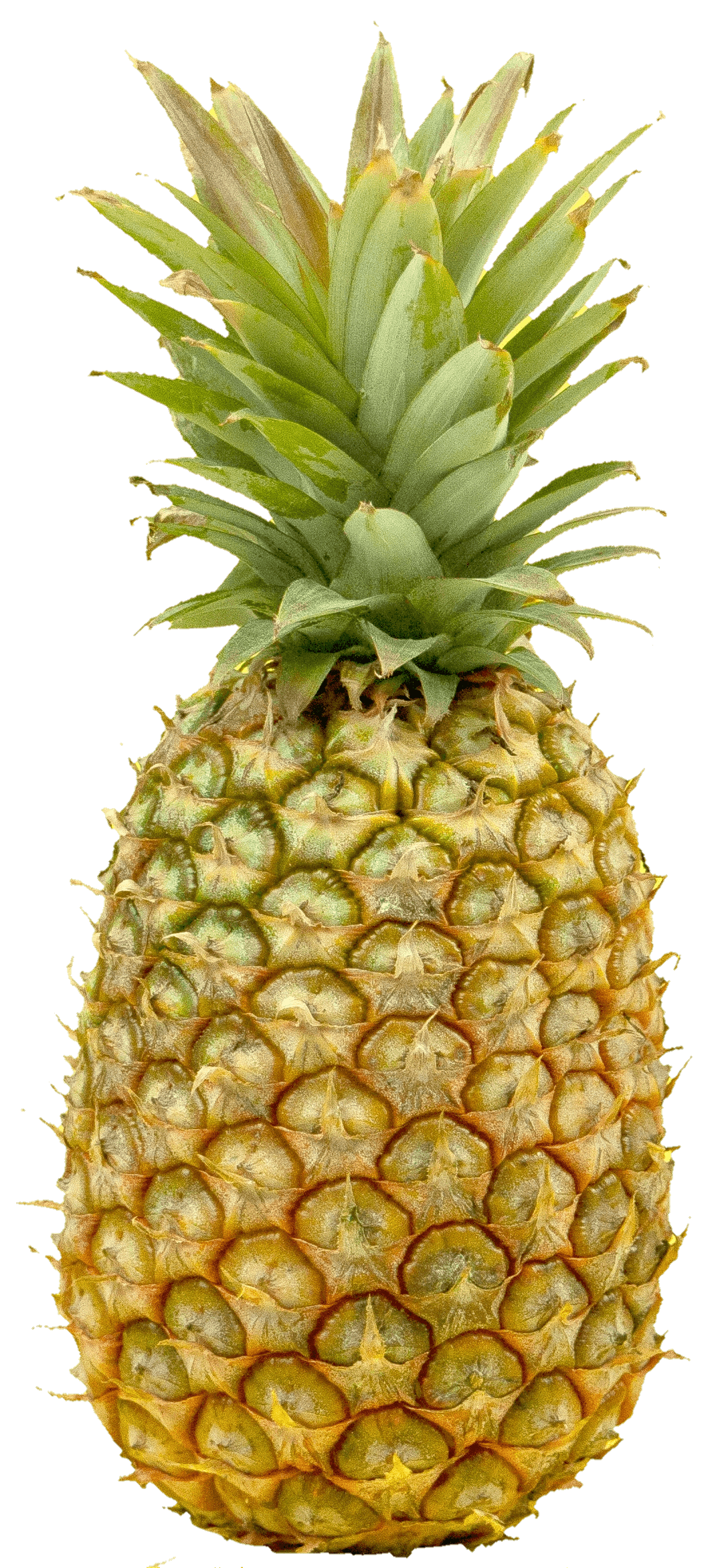 pineapple-2