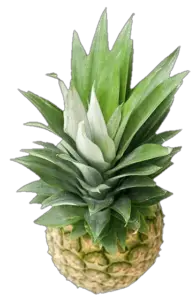 Transparent Pineapple PNG