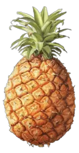 Transparent Pineapple PNG