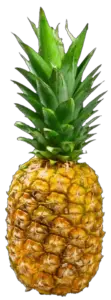 Transparent Pineapple PNG