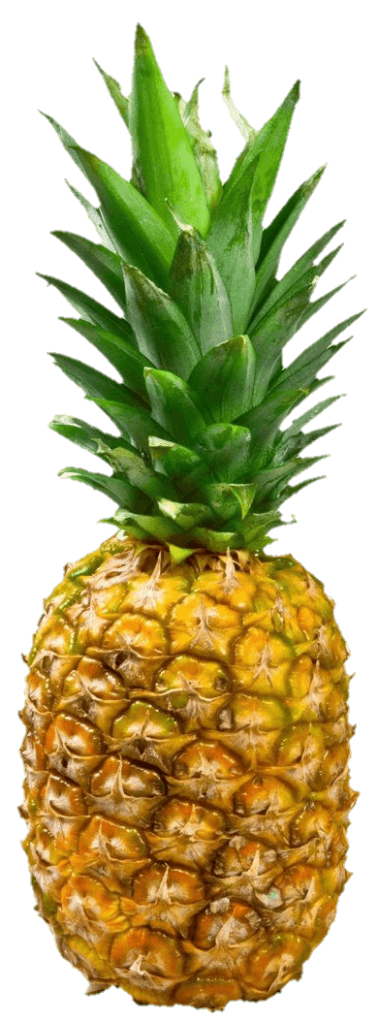 Transparent Pineapple PNG