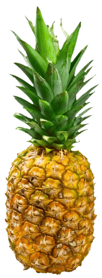 pineapple-23