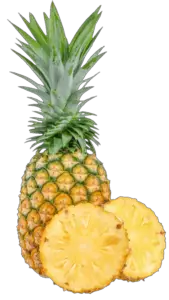 Real Pineapple PNG