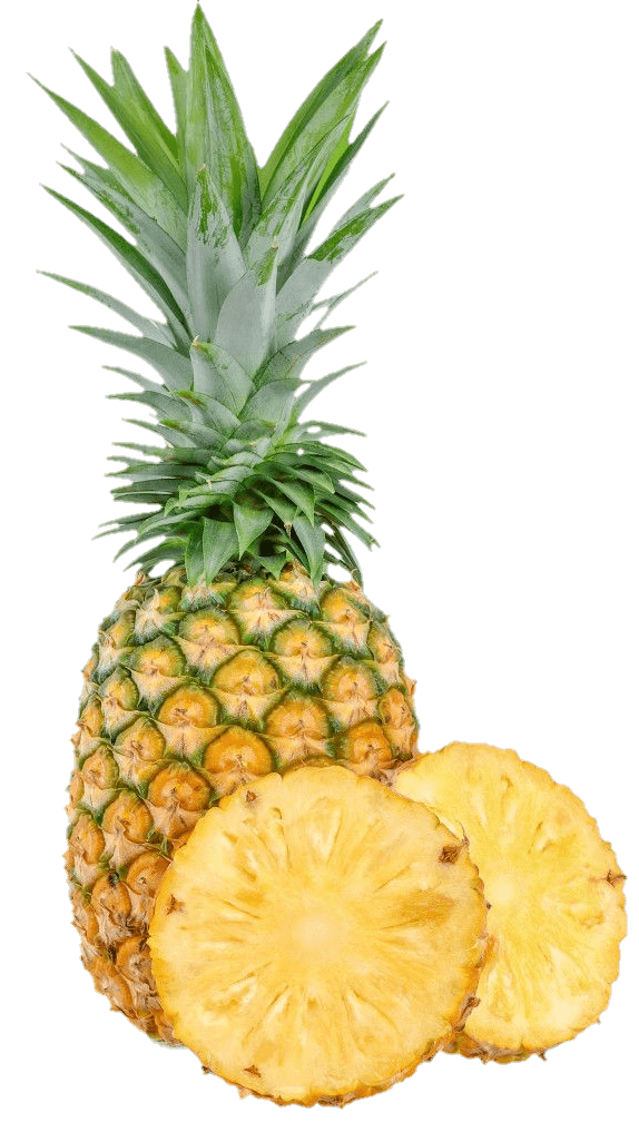 pineapple-26