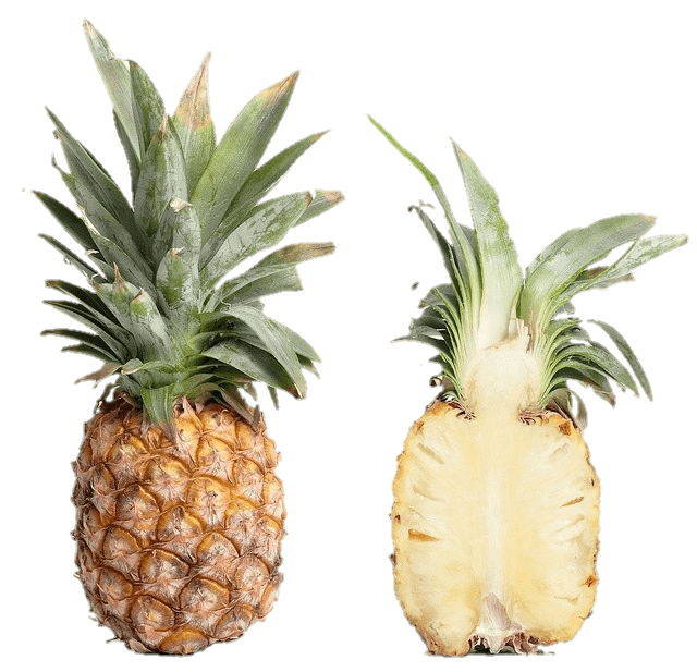 pineapple-27