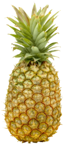 Real Pineapple PNG