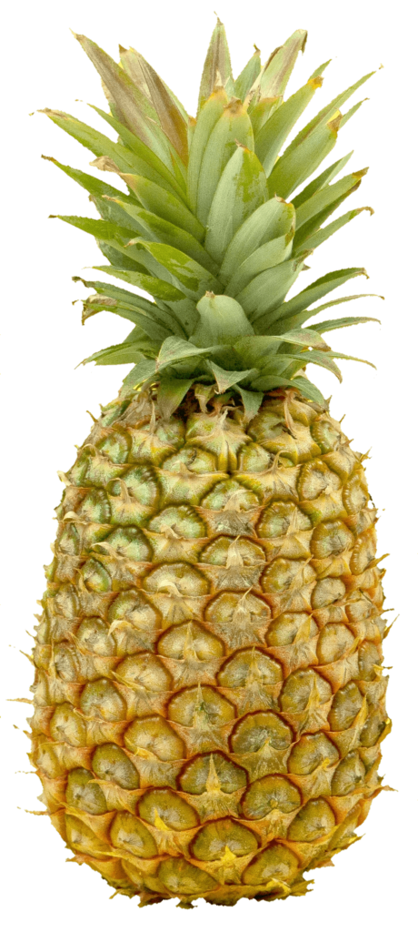 Real Pineapple PNG