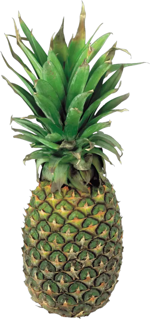 pineapple transparent