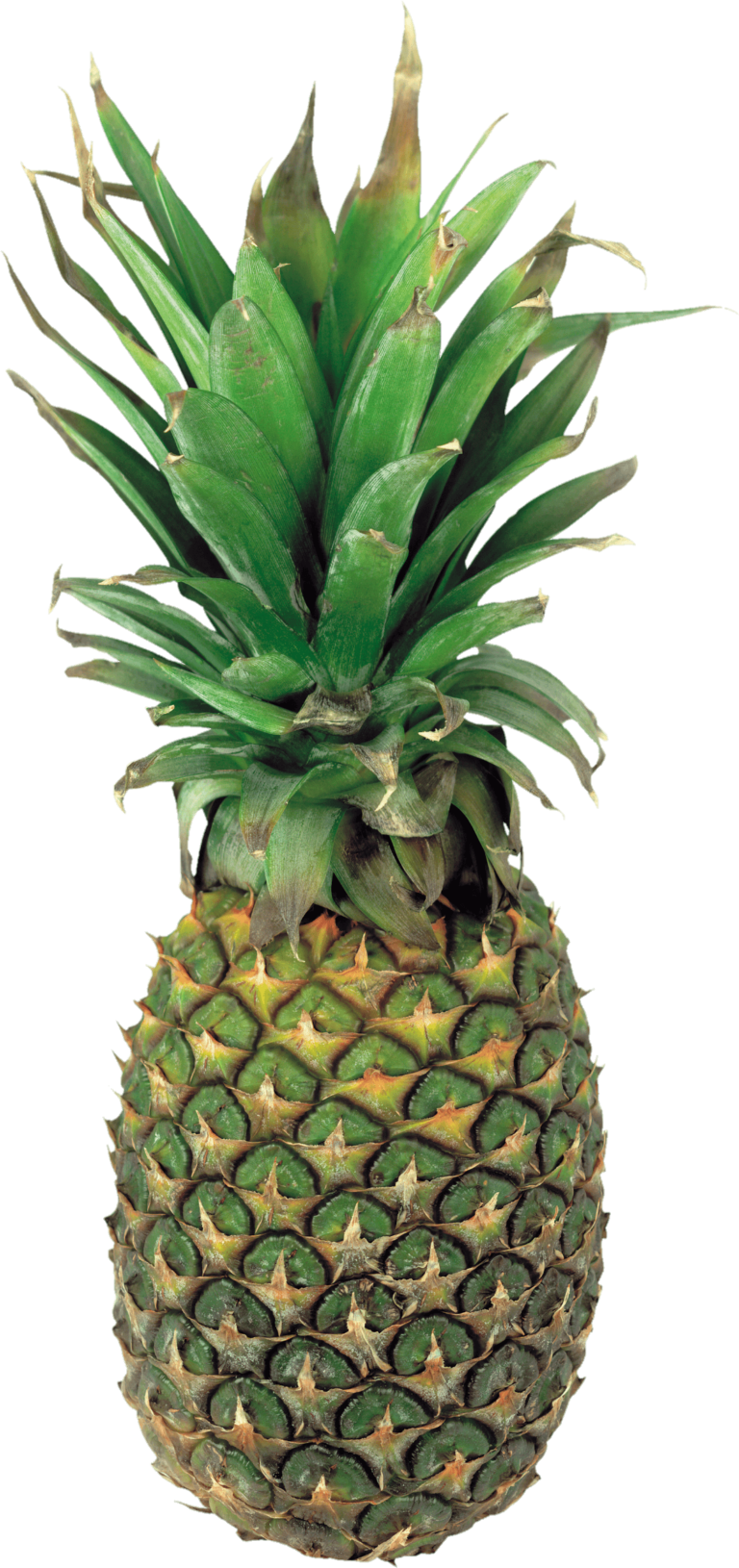 Pineapple PNG Images Free Download - Pngfre