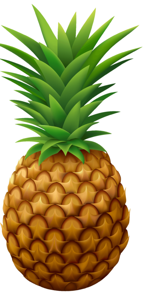 Pineapple PNG vector
