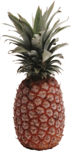 Real Pineapple PNG