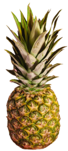 High Resolution Pineapple PNG Image