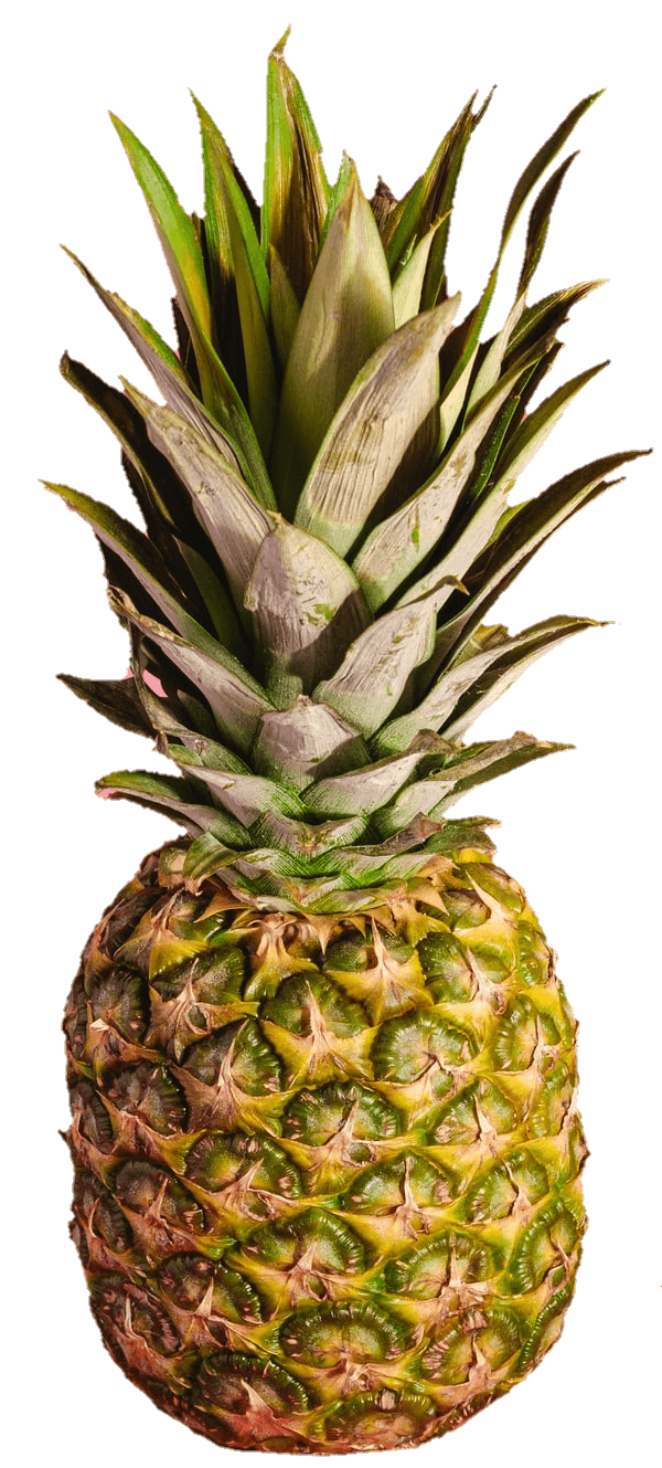 pineapple-35