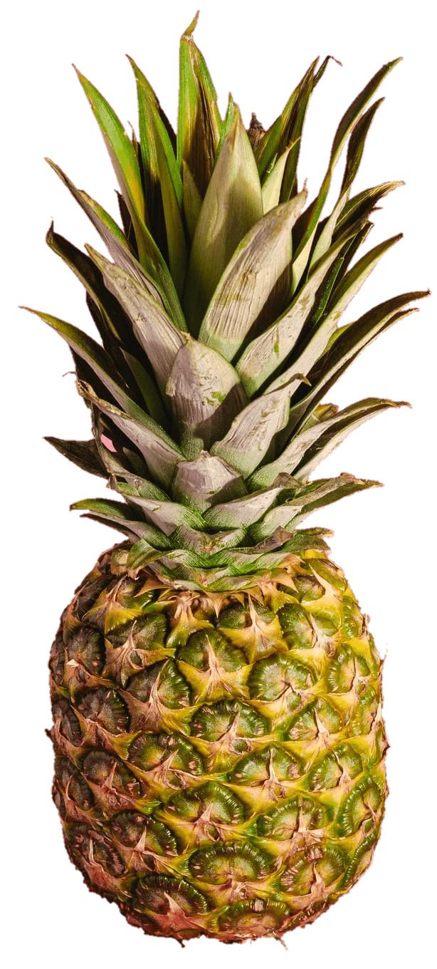 pineapple-36