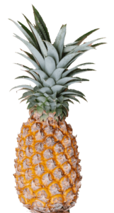 Pineapple PNG