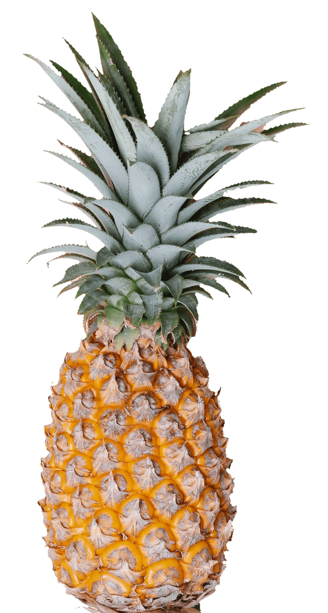 pineapple-38