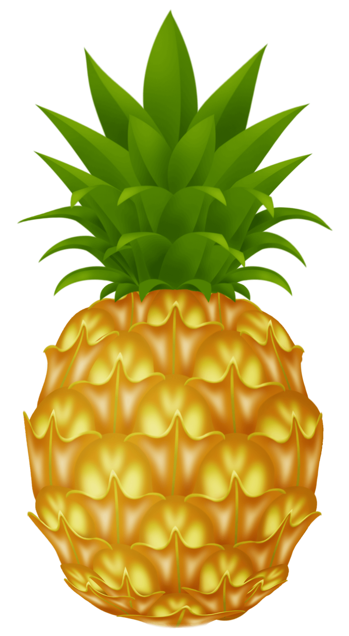pineapple-39
