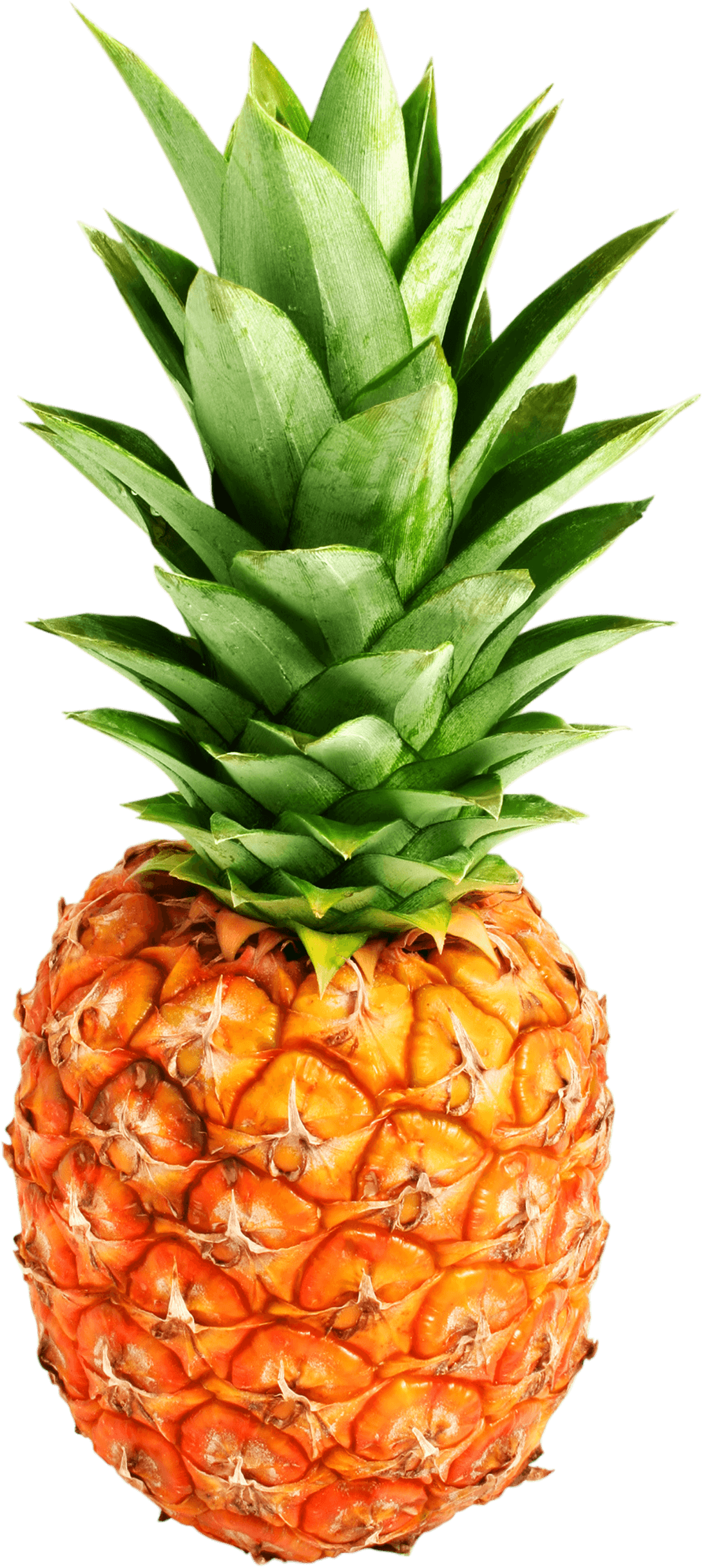 pineapple-4