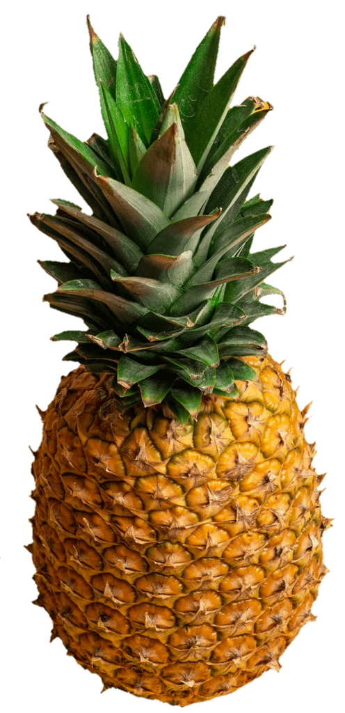High Resolution Pineapple PNG Image
