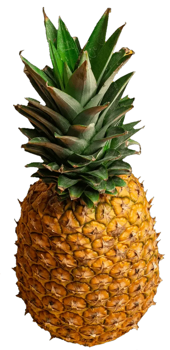 pineapple-40