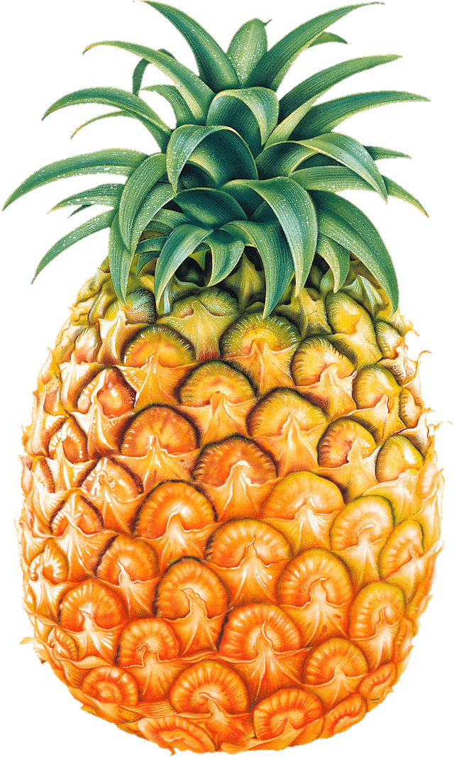 pineapple-41
