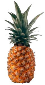 Pineapple PNG Image