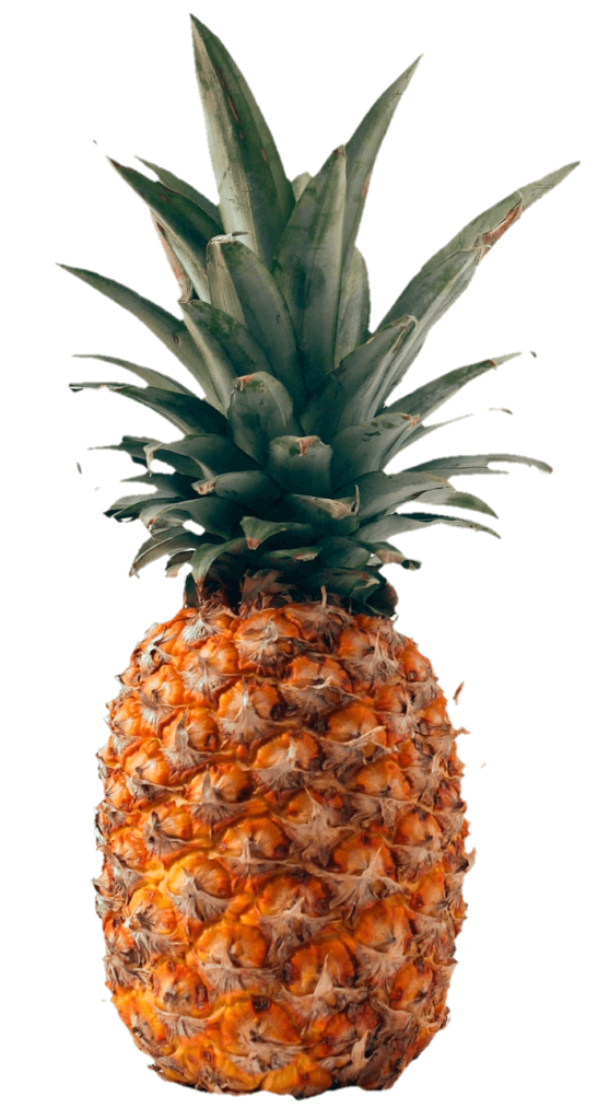 Pineapple PNG Image
