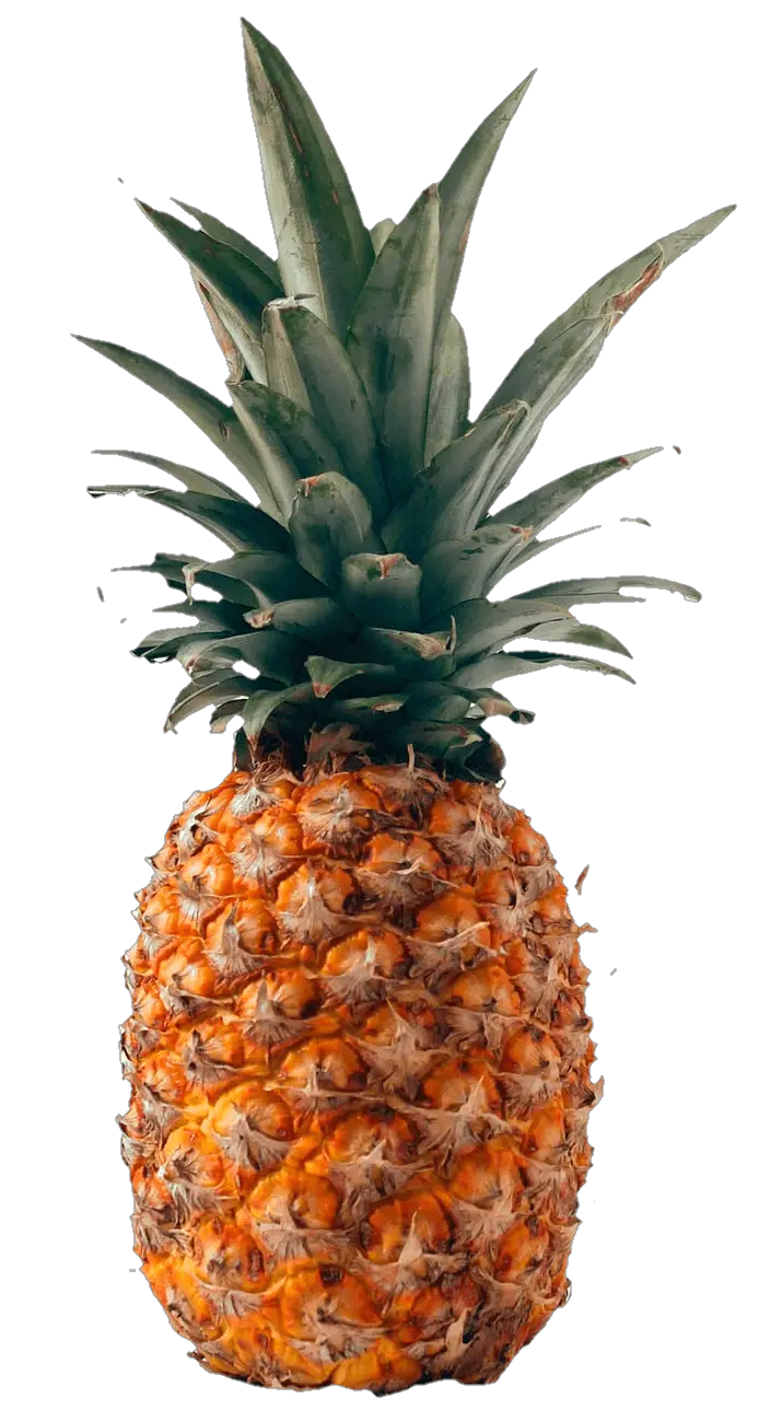 pineapple-5