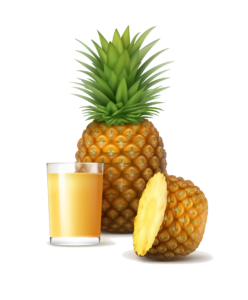 Pineapple Illustration Png Image